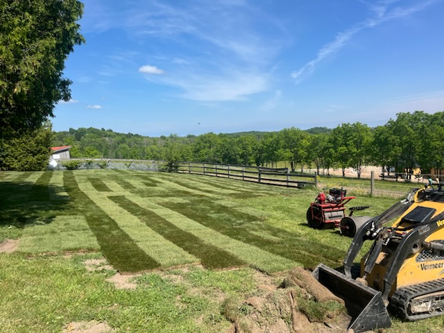 Backyard Sod Installation
